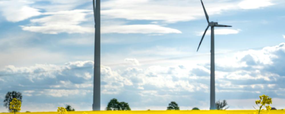 Vindkraft. Foto: Damian Barczak / Unsplash