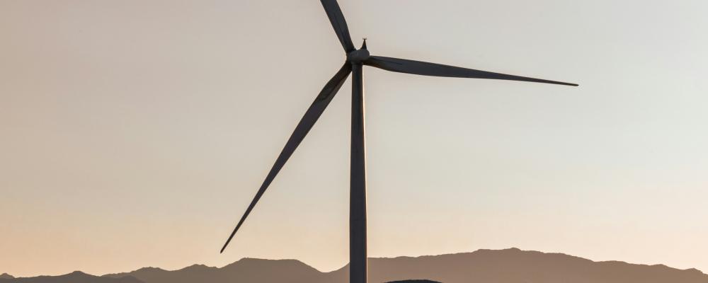Vindkraftssnurra. Foto: Levan Badzgaradze / Unsplash