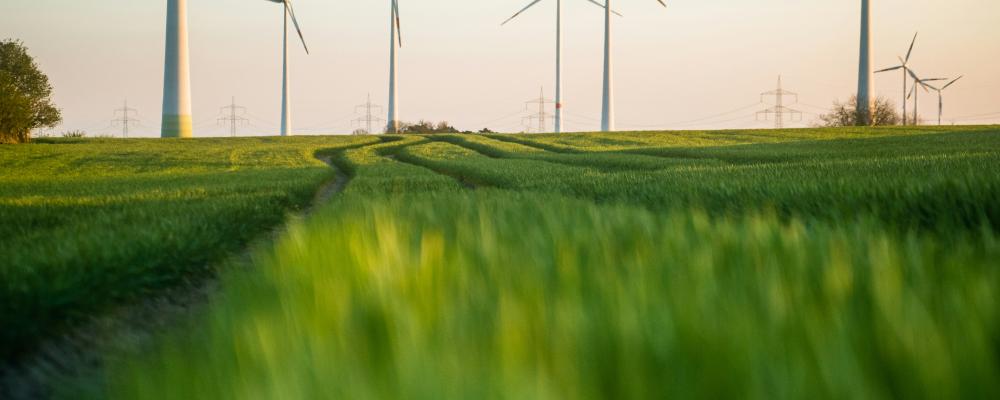 Vindkraft. Foto:  Moritz Lange / Unsplash