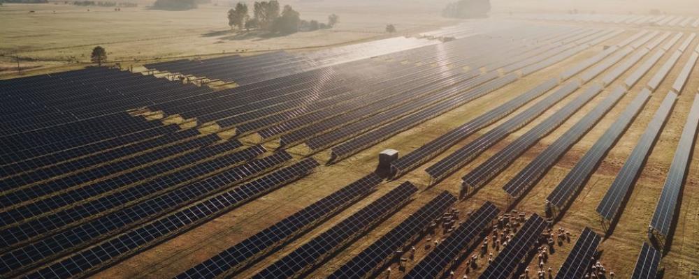 2023 tecknade Arla och Svea Solar Sveriges största elköpsavtal inom solenergi. En del av elen kommer från solparken i Fjällskär utanför Nyköping. Foto: Mikael Tannus/Svea Solar.