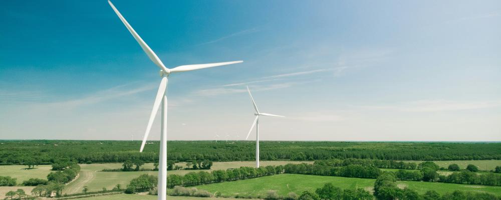 Vinkraft. Foto:  Thomas Réaubourg / Unsplash