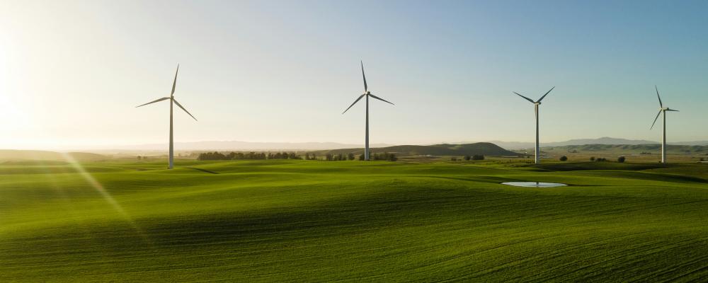 Landbaserad vindkraft. Foto: Zac Wolff / Unsplash