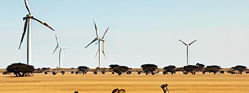 Vindkraftsprojektet, beläget vid Turkanasjöns stränder i norra Kenya, är en av de största vindkraftsparkerna i drift i Afrika. Enligt Vestas genererar projektet tillräckligt med el för att täcka ungefär 14 procent av Kenyas totala elbehov. Symbol- och arkivbild