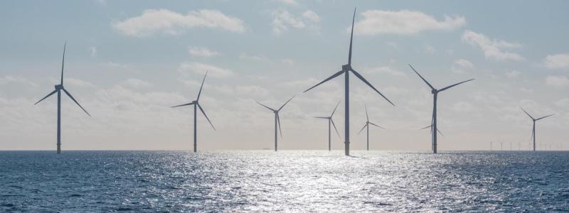 Borkum Riffgrund 3 är Ørsteds största havsbaserade vindkraftpark i Tyskland – Foto: Ørsted