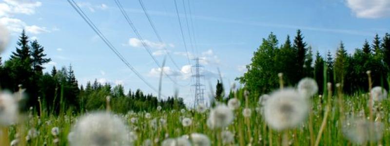 Jätteinvesteringen, på initialt en halv miljard kronor, ska på sikt ansluta 700 megawatt förnybar vindkraft till elområde 4. Foto: E.ON