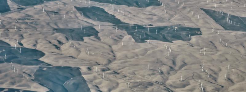 Foto: Chris Linnett/Unsplash