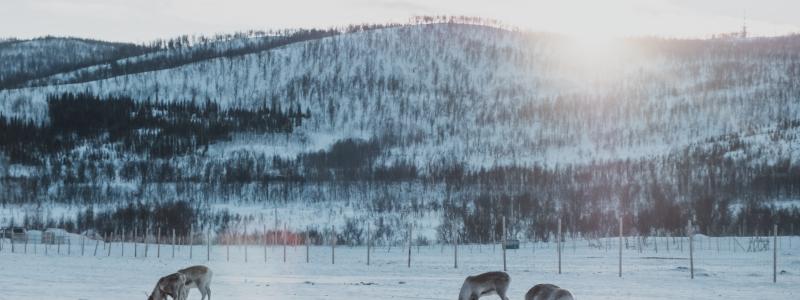 Foto: Febiyan/Unsplash