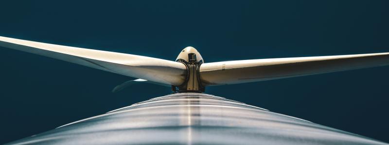 Foto: Hugo Delauney / Unsplash