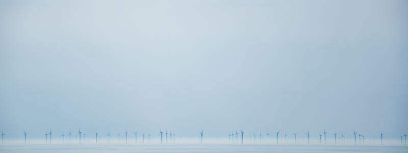 Ifran Alijagic/Unsplash