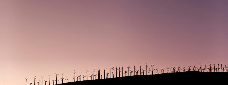 Foto:  Kai Gradert / Unsplash