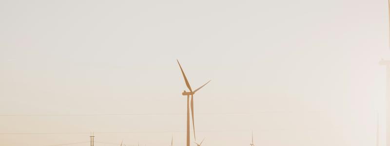 Foto: Katie Moum / Unsplash