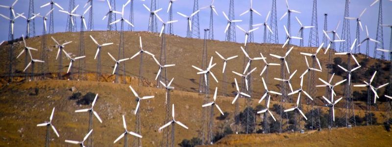 USA:s största vindpark i Kalifornien. Foto: FreeImages
