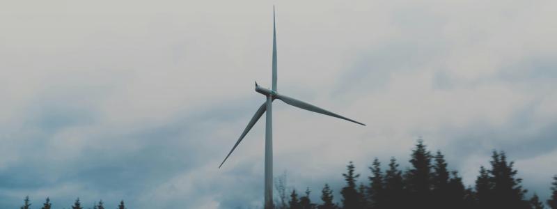 Foto:  Marten Bjork / Unsplash