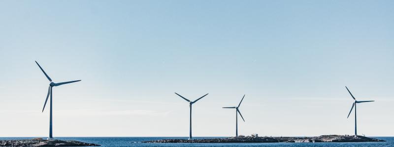Foto: Mary Ray/Unsplash