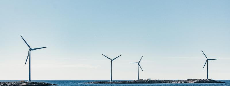Foto: Mary Ray / Unsplash