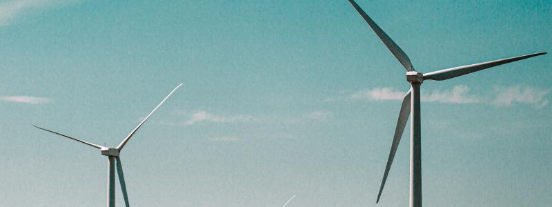 Foto: Mike Setchell/Unsplash