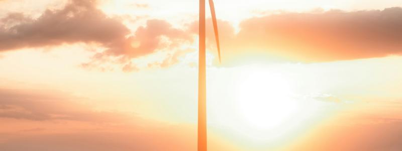 Foto:  Moritz Lange / Unsplash