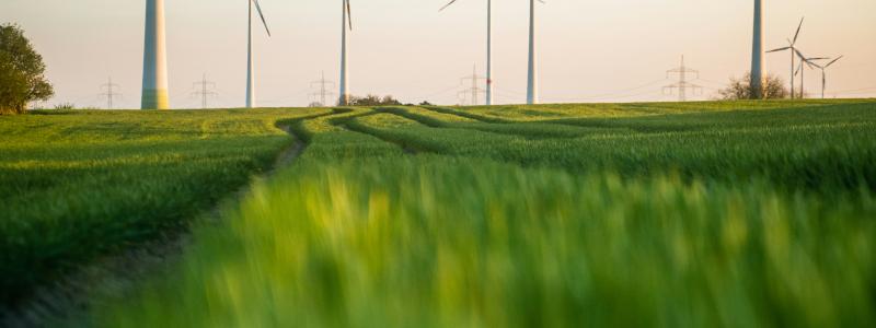 Vindkraft. Foto:  Moritz Lange / Unsplash