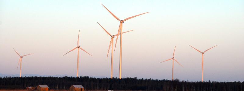 Vindkraften har pressat elpriserna i Finland, men flera projekt visar nu stora förluster. Arkivbild från Kalajoki. Foto: Wikipedia Commons LIc. Kredit: Istas~fiwiki