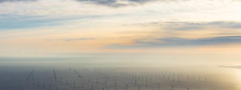 Foto: Nicholas Doherty/Unsplash