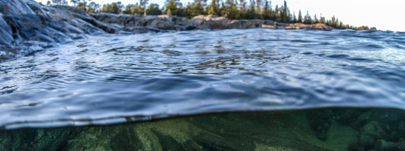 Foto: Niklas Jonasson/Unsplash