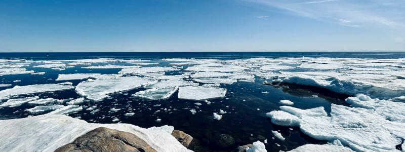 Foto: Niklas Jonasson/Unsplash