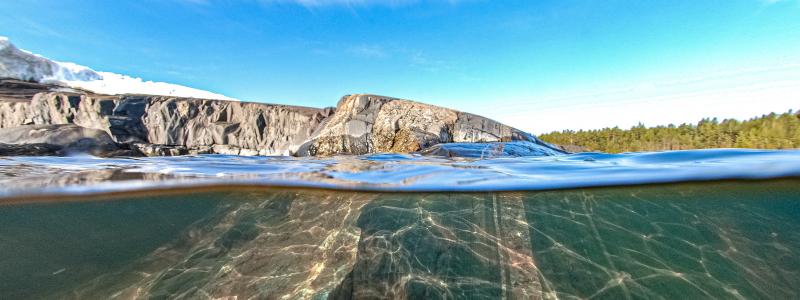 Foto: Niklas Jonasson/Unsplash