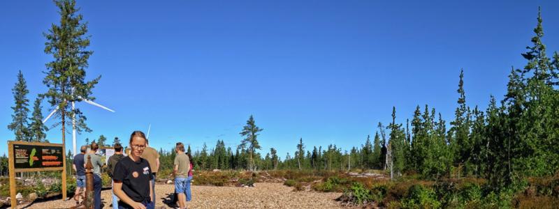 Foto: Vindpark Dalarna