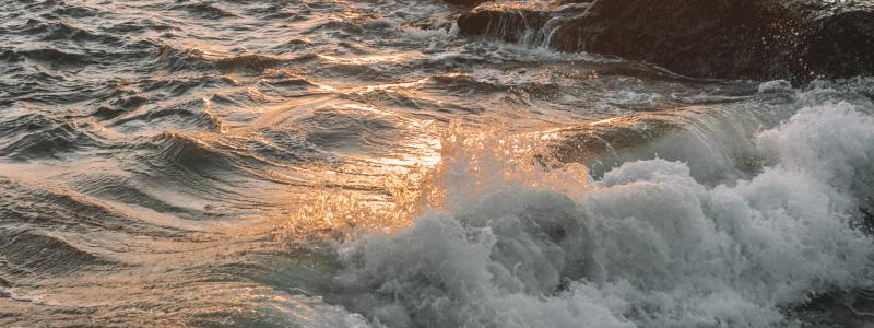 Foto: Polina Kuzovkova/Unsplash