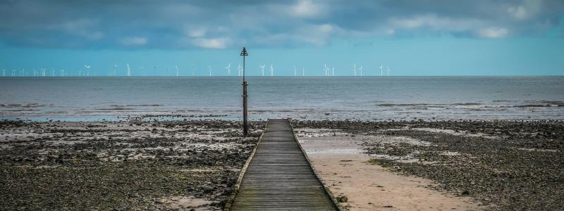 Foto: Rachel Cooper / Unsplash