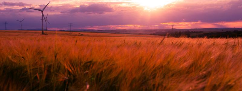 Foto: Robert Wiedemann / Unsplash
