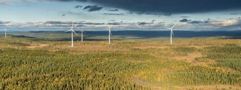 Onshore-vindkraft i Serbien. Foto: Siemens Gamesa
