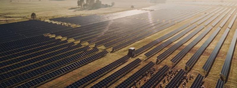 2023 tecknade Arla och Svea Solar Sveriges största elköpsavtal inom solenergi. En del av elen kommer från solparken i Fjällskär utanför Nyköping. Foto: Mikael Tannus/Svea Solar.