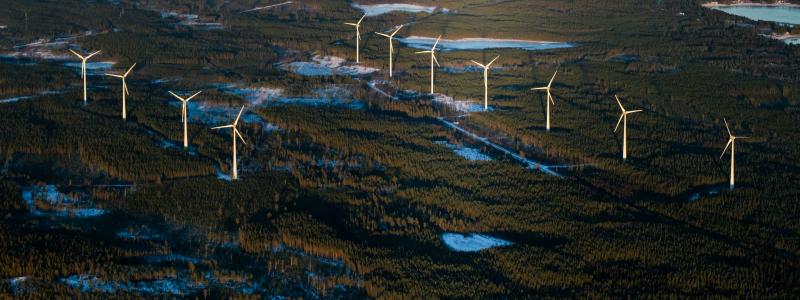 Vindkraft från Hörnefors utanför Umeå. Foto: Klas Sjöberg