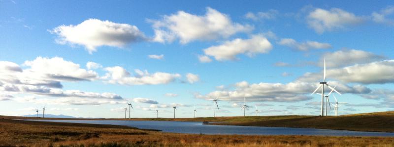 Windpark i Whitelee, Skottland. Foto: Wikipedia Commons Lic. Kredit: Bjmullan