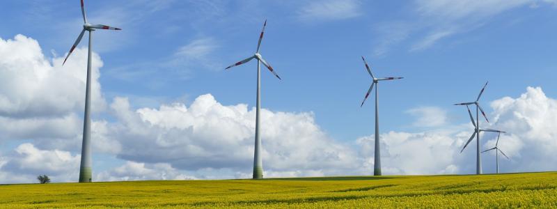 Landbaserad vindkraft kan kortsiktigt lösa industrins energibehov, menar Energiföretagen. Arkivbild