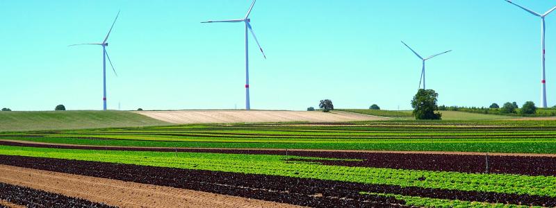 Vind 2023 inträffar 17-18 oktober. Foto: Matthias Boeckel (Pixabay)
