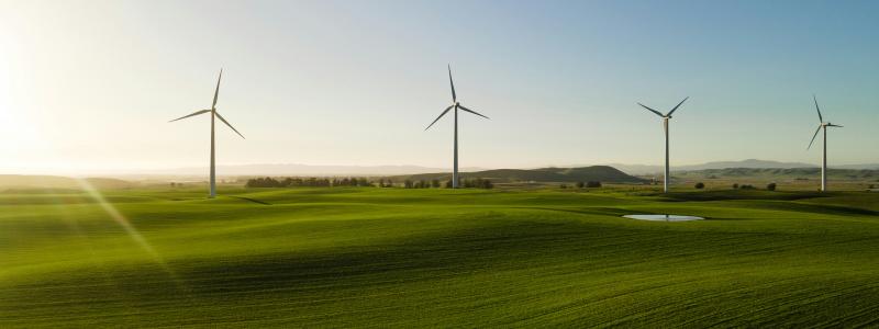 Landbaserad vindkraft. Foto: Zac Wolff / Unsplash