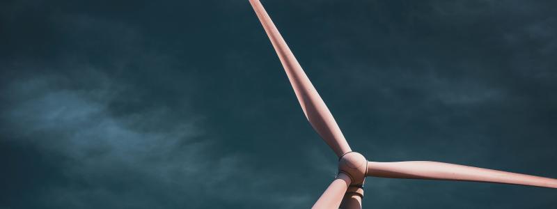 Foto: zero take / Unsplash
