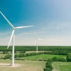 Vinkraft. Foto:  Thomas Réaubourg / Unsplash