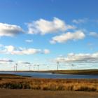 Windpark i Whitelee, Skottland. Foto: Wikipedia Commons Lic. Kredit: Bjmullan