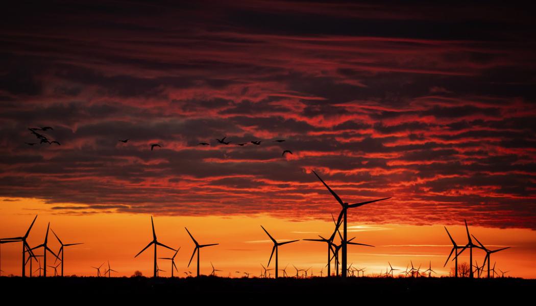 Christian Charisius/AP/TT: Vattenfall ska bygga en vindkraftspark i Småland. Arkivbild.