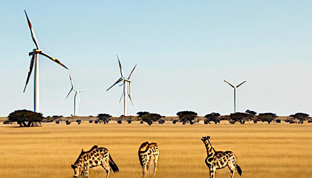 Vindkraftsprojektet, beläget vid Turkanasjöns stränder i norra Kenya, är en av de största vindkraftsparkerna i drift i Afrika. Enligt Vestas genererar projektet tillräckligt med el för att täcka ungefär 14 procent av Kenyas totala elbehov. Symbol- och arkivbild