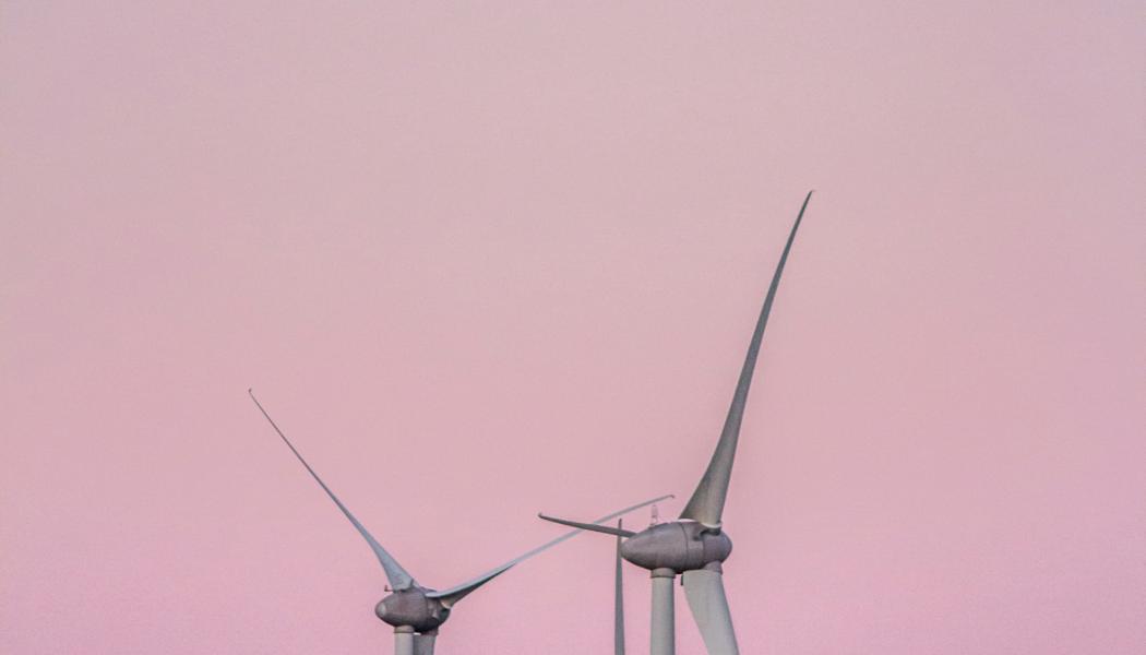 Foto: Bruno Vieira / Unsplash
