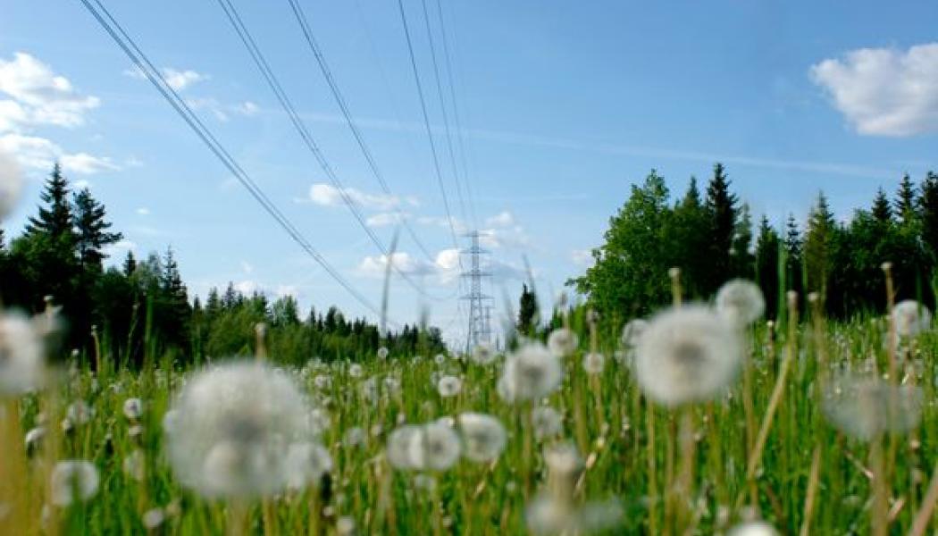 Jätteinvesteringen, på initialt en halv miljard kronor, ska på sikt ansluta 700 megawatt förnybar vindkraft till elområde 4. Foto: E.ON