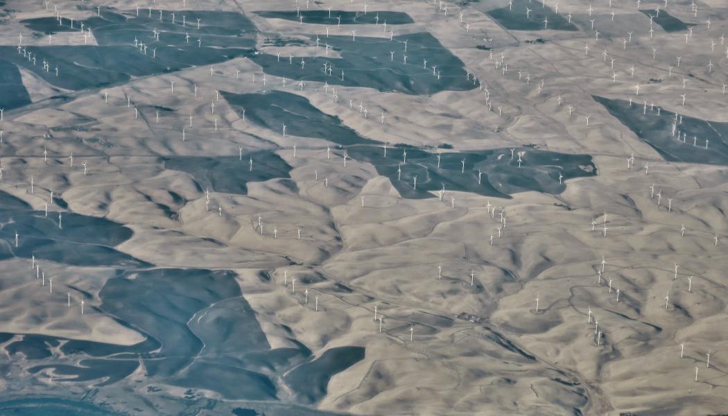 Foto: Chris Linnett/Unsplash