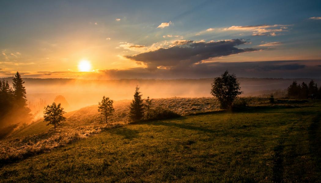 Foto: Dawid Zawiła / Unsplash