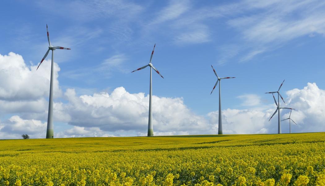 Projektet är kopplat till den regionala utvecklingsstrategin för Västra Götaland 2021-2030 och syftar till att regionen ska bli en fossiloberoende region. Projektet bidrar främst till området livsmedel, biobaserade material och förnybar energi genom att fokusera på förnybar el. Foto: RödGrön Ledning