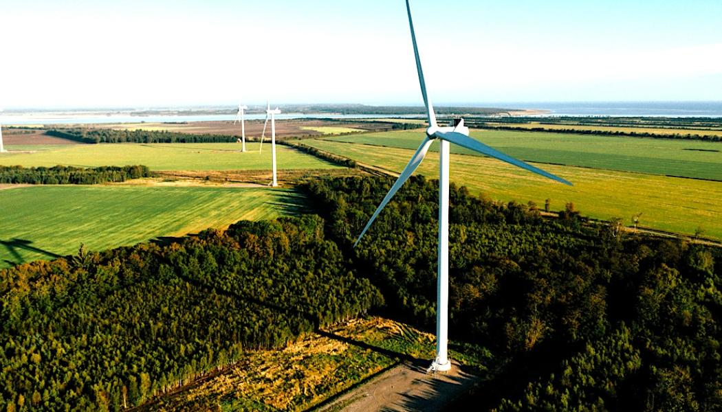 Företaget har idag en portfölj med energiparker i Tyskland som tillsammans uppgår till 500 megawatt.  Foto: Eurowind Energy A/S