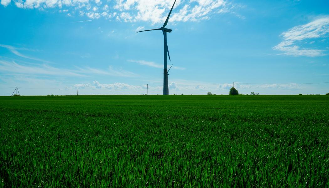 Vindkraftsfält. Foto: Ilja Nedilko / Unsplash